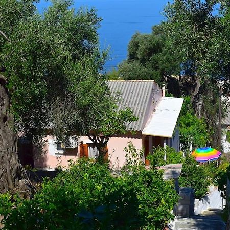 Kiki'S Beautiful House On Famous Village Pentátion Dış mekan fotoğraf