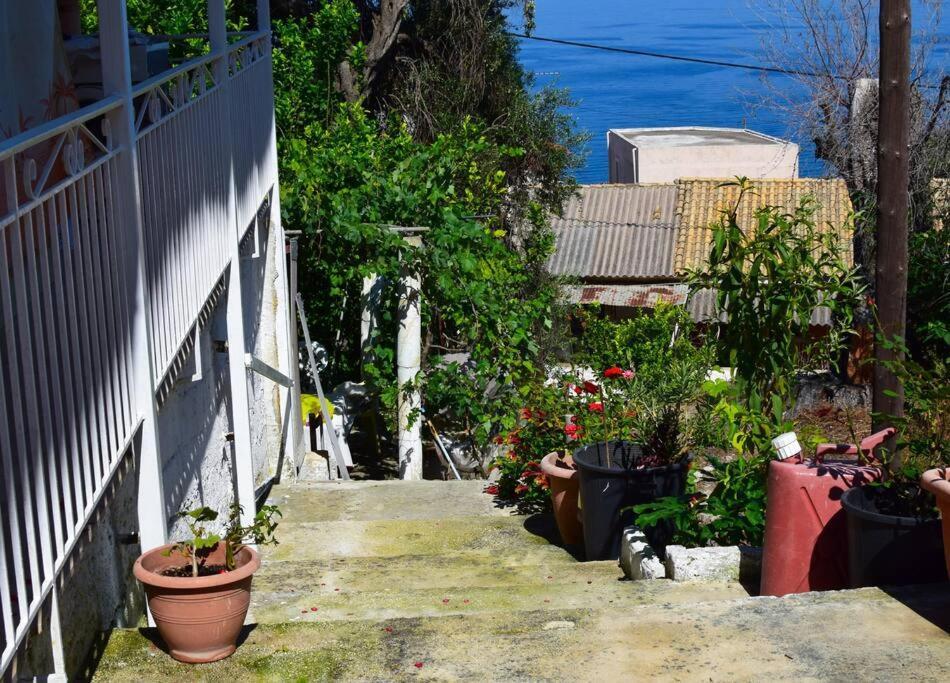 Kiki'S Beautiful House On Famous Village Pentátion Dış mekan fotoğraf